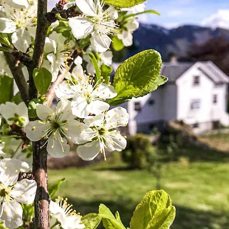 Cozy In With Wifi Prázdninový dům