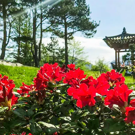 Cozy In With Wifi Дом отдыха Bruvik