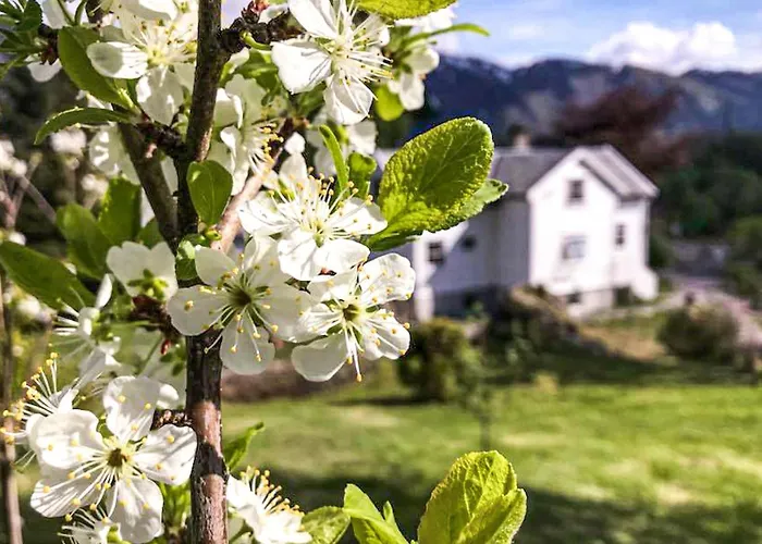 Cozy In With Wifi Vakantiehuis