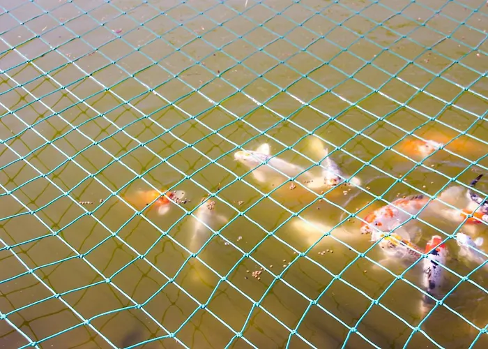 Vakantiehuis Cozy In With Wifi