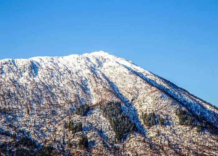 Cozy In With Wifi Vakantiehuis