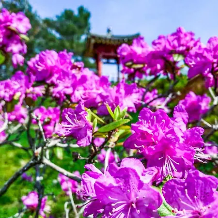 Cozy In With Wifi Σπίτι διακοπών Bruvik